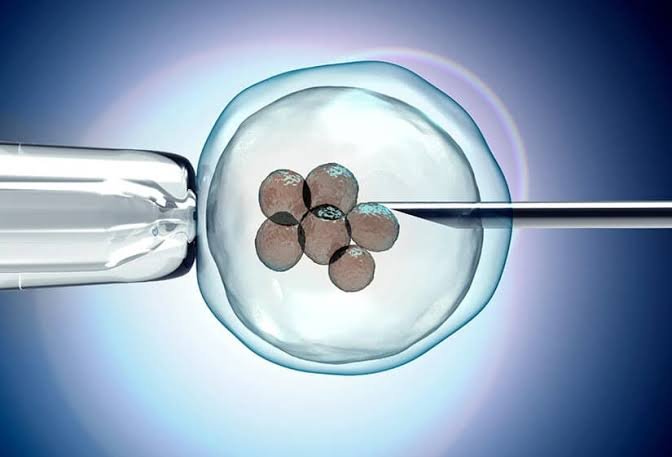 how-egg-freezing-can-support-future-family-planning